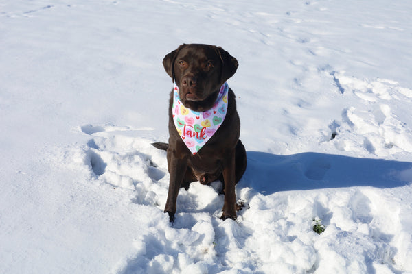 Conversation Hearts Bandana