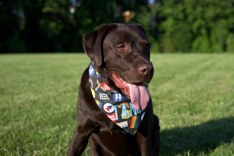 Love is Love Bandana