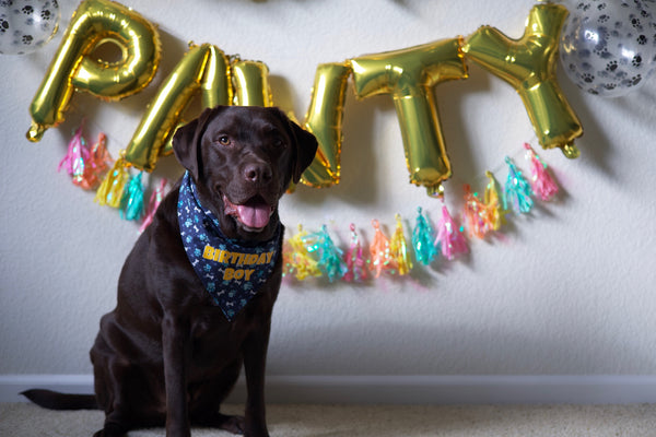 Birthday Boy bandana