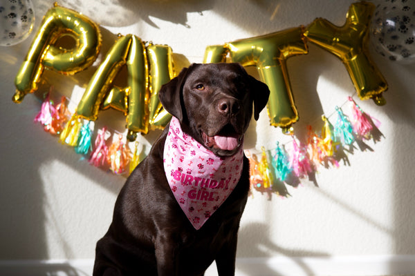 Birthday Girl  Bandana