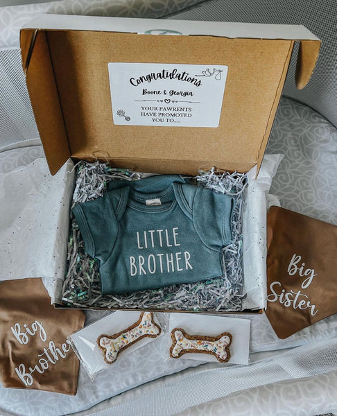 Big Brother/Big Sister Promotion Box