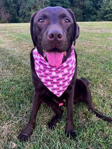 Boo-tiful Bandana