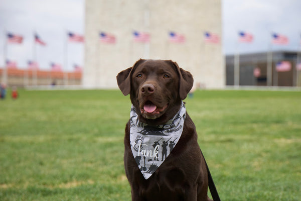 Memorial Day Bandana