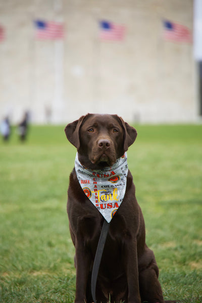 Marine Corps Bandana